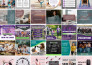 be your social media content creator
